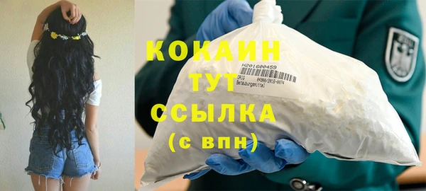 сатива Алзамай