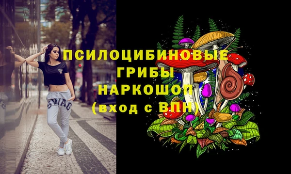 ГАЛЛЮЦИНОГЕННЫЕ ГРИБЫ Алексеевка