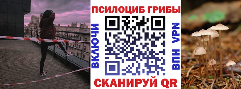 hydra tor Челябинск Псилоцибиновые грибы прущие грибы